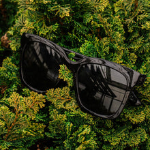 Azalea - Midnight Polarized