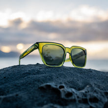 Dahlia - Sage Polarized