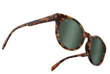 Sequoia - Tortoise Polarized